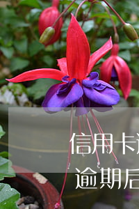 信用卡逾期后自己儲蓄卡能有錢嗎-信用卡逾期后自己儲蓄卡能有錢嗎安全嗎