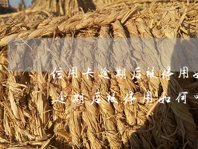 信用卡逾期后被停用如何申请开通-信用卡逾期后被停用如何申请开通分期还款