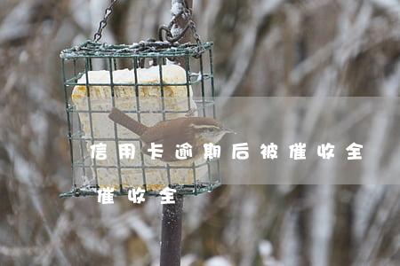 信用卡逾期后被催收全額-信用卡逾期后被催收全額