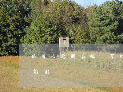 信用卡逾期后被凍可以用嗎(信用卡被凍了還能用嗎)