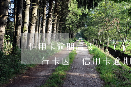 信用卡逾期后被凍結(jié)要如何還款 銀行卡因為信用卡逾期被凍結(jié)怎么辦
