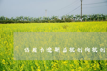信用卡逾期后 被刑拘(被刑拘導致信用卡逾期)