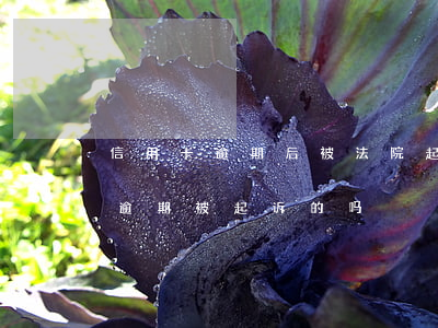 信用卡逾期后被法院起诉影响什么 有信用卡逾期被起诉的吗