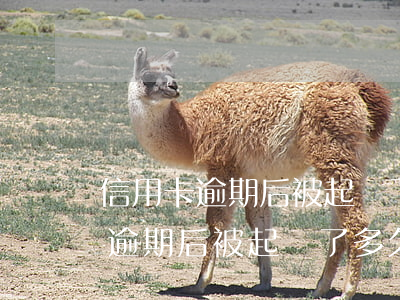 信用卡逾期后被起訴了多久會判刑-信用卡逾期后被起訴了多久會判刑呢
