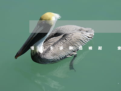 信用卡逾期后被起訴坐牢嗎