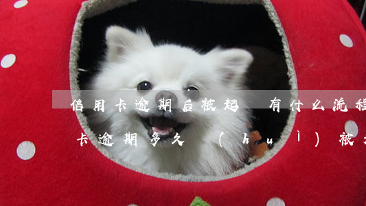信用卡逾期后被起訴有什么流程(欠銀行信用卡逾期多久會(huì)被起訴)