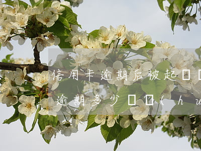 信用卡逾期后被起訴費(fèi)用(信用卡逾期多少錢會(huì)被銀行起訴)