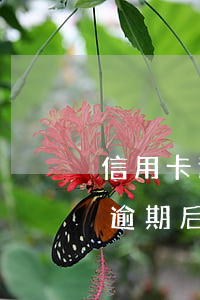 信用卡逾期后被起诉了会冻结微信-信用卡逾期后被起诉了会冻结微信和支付宝