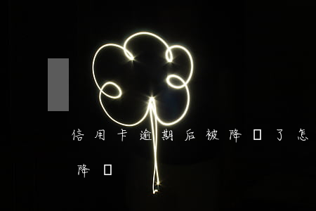 信用卡逾期后被降額了怎么辦-還信用卡被降額