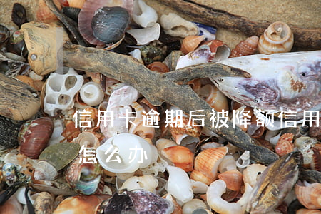 信用卡逾期后被降额 信用卡逾期后被降额了怎么办