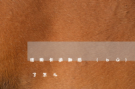信用卡逾期后補(bǔ)救措施(信用卡 逾期了怎么辦)
