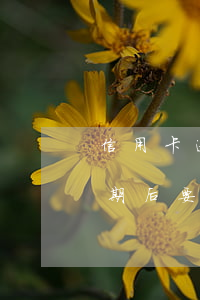 信用卡逾期后要什么手續(xù)(信用卡逾期后要什么手續(xù))