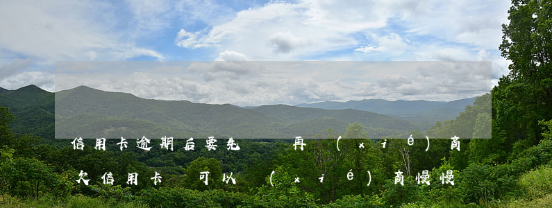 信用卡逾期后要先還錢再協(xié)商嗎(欠信用卡錢可以協(xié)商慢慢還嗎)
