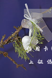 信用卡逾期后要多久上征信(信用卡 逾期幾天上征信)