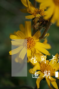 信用卡逾期后要少還一些表誠意嗎-信用卡 逾期還款