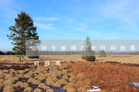 信用卡逾期后要收利息嗎(信用卡逾期后要收利息嗎)