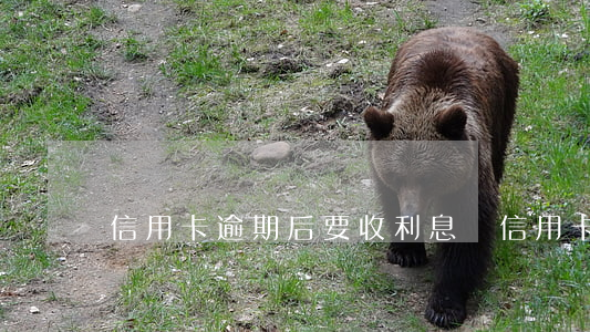 信用卡逾期后要收利息嗎(信用卡逾期有利息嗎?)
