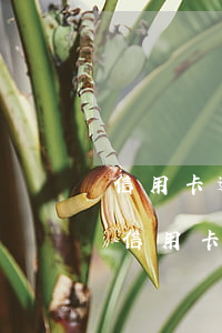 信用卡逾期后要核對信息嗎(征信報告怎么看信用卡逾期)