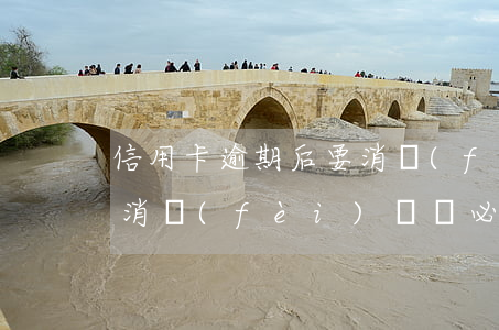 信用卡逾期后要消費(fèi)憑證(信用卡消費(fèi)憑證必須是本人消費(fèi)嗎)