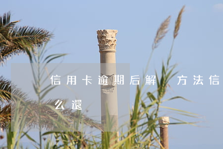 信用卡逾期后解決方法(信用卡逾期卡失效怎么還)