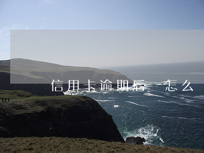 信用卡逾期后該怎么辦(信用卡逾期后該怎么辦)