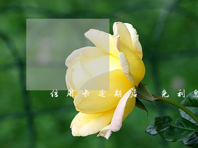 信用卡逾期后說免利息