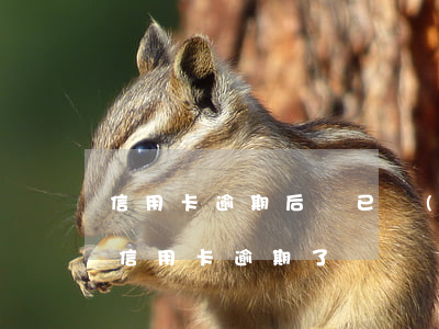 信用卡逾期后說已經(jīng)立案-我信用卡逾期了