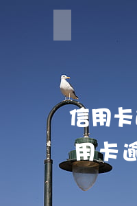 信用卡逾期后說要報(bào)案怎么辦(信用卡逾期后說要報(bào)案怎么辦)