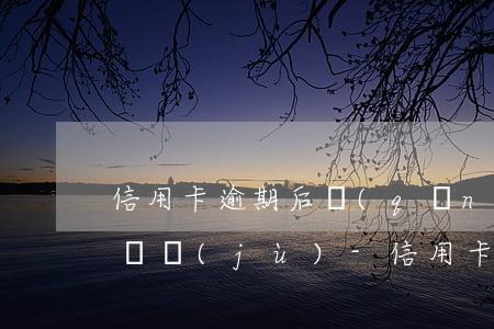 信用卡逾期后請(qǐng)上傳您的影像證據(jù)-信用卡逾期后請(qǐng)上傳您的影像證據(jù)什么意思