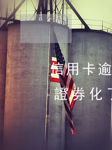 信用卡逾期后證券化了怎么還(信用卡逾期后證券化了怎么還)