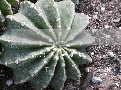 信用卡逾期后變呆賬怎么還(呆賬還清后信用卡注銷會顯示逾期嗎)