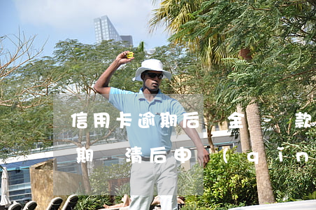 信用卡逾期后讓全額還款(嚴(yán)重逾期還清后申請(qǐng)信用卡)