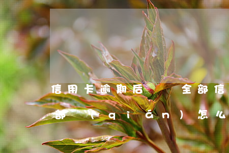 信用卡逾期后讓還全部(信用卡逾期后讓還全部錢(qián)怎么辦)