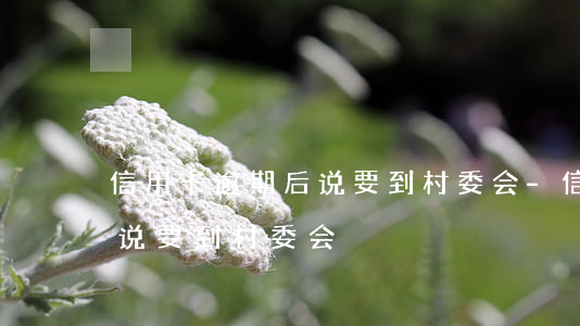 信用卡逾期后说要到村委会-信用卡逾期后说要到村委会