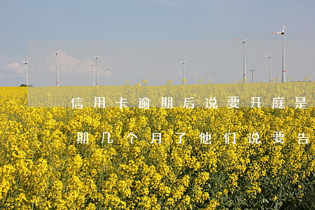 信用卡逾期后说要开庭是真的吗(我信用卡逾期几个月了他们说要告我上法院)