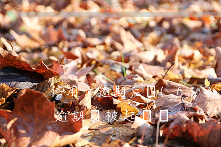 信用卡逾期后負(fù)債纏身-欠信用卡逾期會被起訴嗎