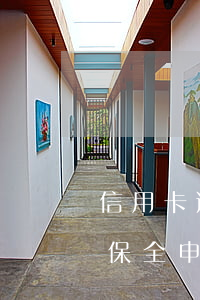 信用卡逾期后財(cái)產(chǎn)保全申請(qǐng)書(信用卡逾期后財(cái)產(chǎn)保全申請(qǐng)書)