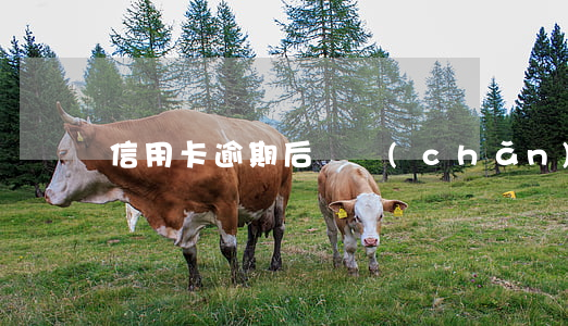 信用卡逾期后資產(chǎn)保全