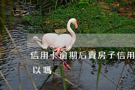 信用卡逾期后賣房子 信用卡逾期后賣房子可以嗎