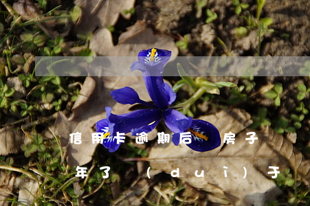 信用卡逾期后賣房子還貸款(欠信用卡逾期3年了,對(duì)于賣房子會(huì)有影響嗎)