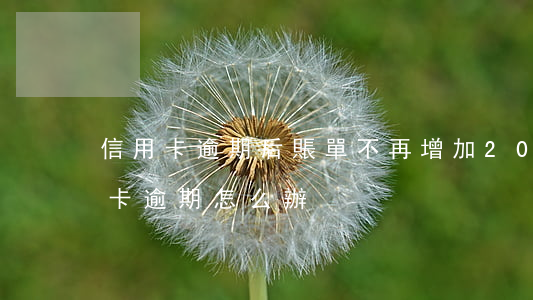 信用卡逾期后賬單不再增加(2017年信用卡逾期怎么辦)