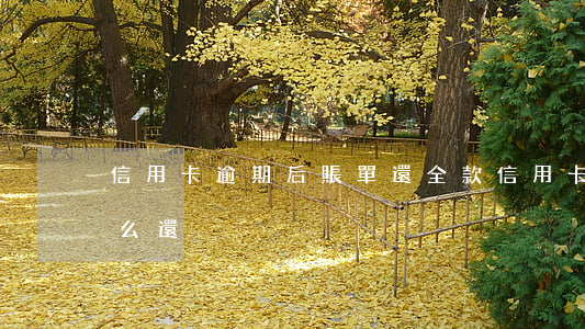 信用卡逾期后賬單還全款(信用卡逾期賬單怎么還)
