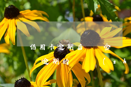 信用卡逾期后賬戶金額變成零(發(fā)生過逾期的賬戶數(shù)0)