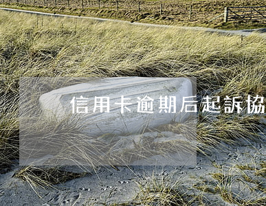 信用卡逾期后起訴協(xié)商免除