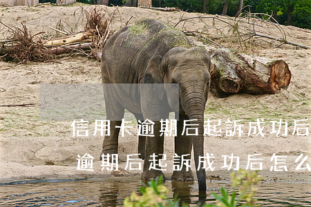 信用卡逾期后起訴成功后怎么處理-信用卡逾期后起訴成功后怎么處理呢