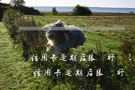 信用卡逾期后跟銀行協(xié)商的技巧(信用卡逾期后跟銀行協(xié)商的技巧)