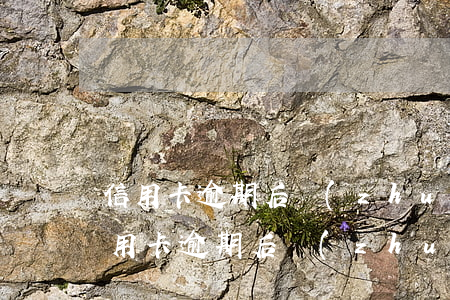 信用卡逾期后轉(zhuǎn)到外包后(信用卡逾期后轉(zhuǎn)到外包后)