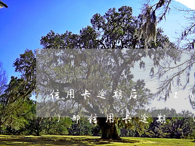 信用卡逾期后轉(zhuǎn)法務(wù)部(信用卡逾期轉(zhuǎn)法務(wù)部會怎么樣)