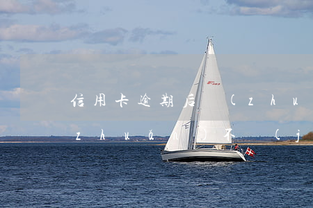 信用卡逾期后轉(zhuǎn)賬還款轉(zhuǎn)不進(jìn)去-信用卡逾期后轉(zhuǎn)賬還款轉(zhuǎn)不進(jìn)去怎么辦