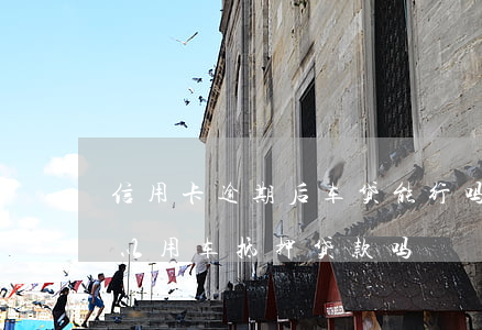 信用卡逾期后车贷能行吗-有信用卡逾期,可以用车抵押贷款吗?